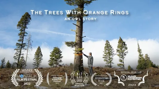 Watch The Trees with Orange Rings Trailer