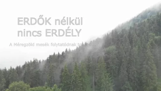 Erdők nélkül nincs Erdély