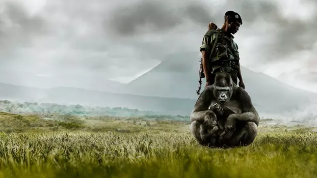 Watch Virunga Trailer