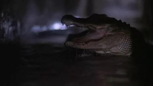 Watch Alligator 2: The Mutation Trailer