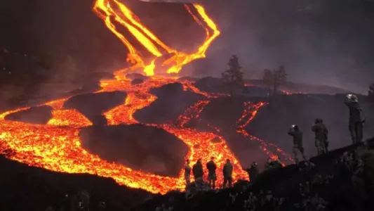 Der Vulkan von La Palma - Die Rückkehr des Lebens