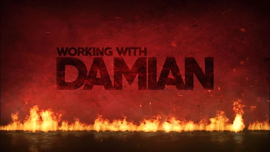 Watch Working With Damian Trailer