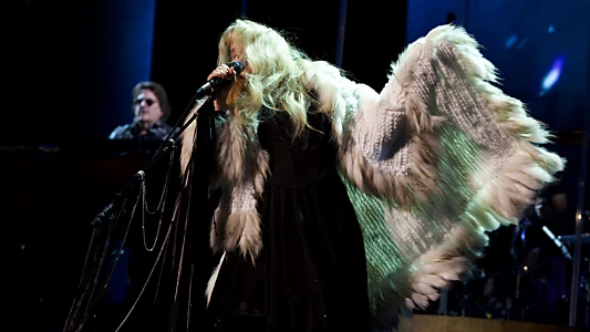 Stevie Nicks: Live in Concert - The 24 Karat Gold Tour