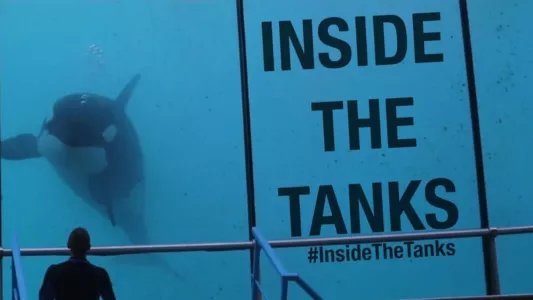 Watch Inside the Tanks Trailer