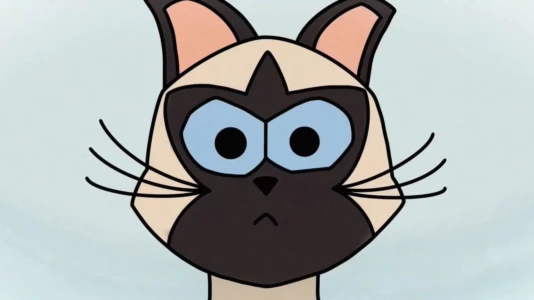 Braulio, The Cat