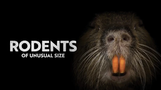 Watch Rodents of Unusual Size Trailer
