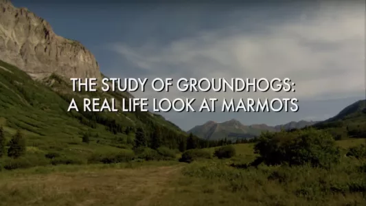 Watch The Study Of Groundhogs: A Real Life Look At Marmots Trailer