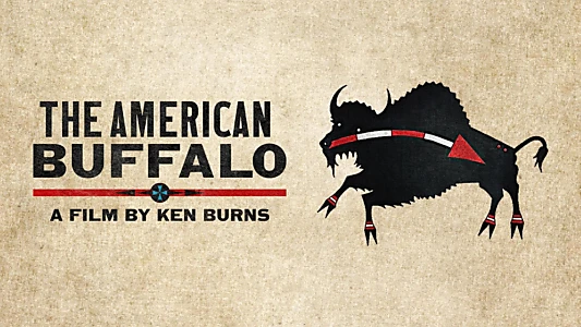 Watch The American Buffalo Trailer