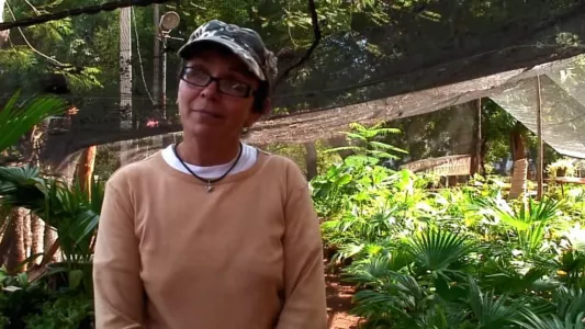 Watch Agroecology In Cuba Trailer