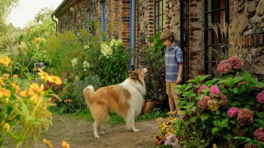 Watch Lassie: A New Adventure Trailer