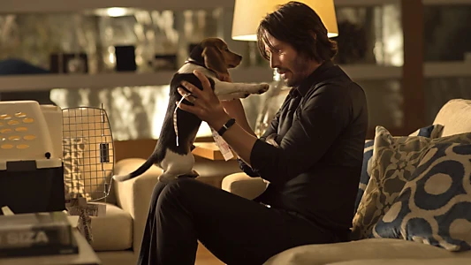 Watch John Wick Trailer