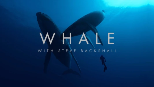 Watch Whale with Steve Backshall Trailer