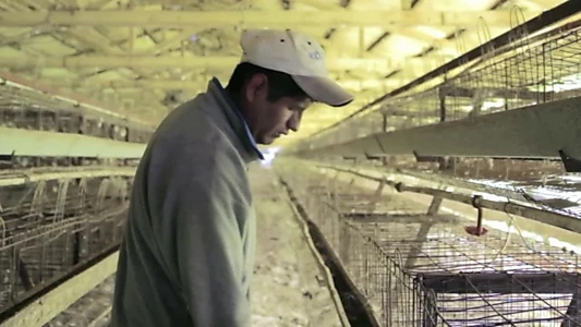 Watch La cáscara rota Trailer