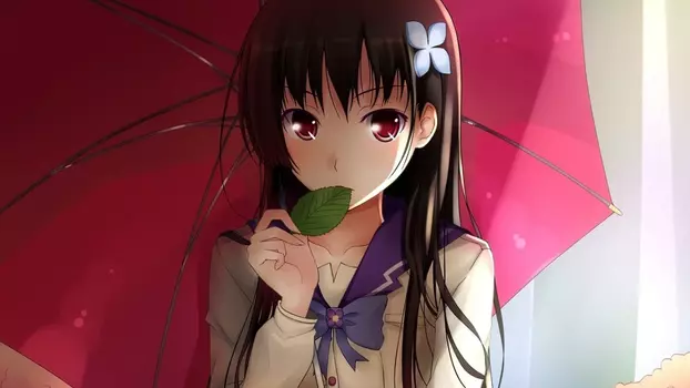 Watch Sankarea: Undying Love Trailer