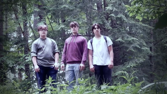 Watch Lost In The Woods Trailer