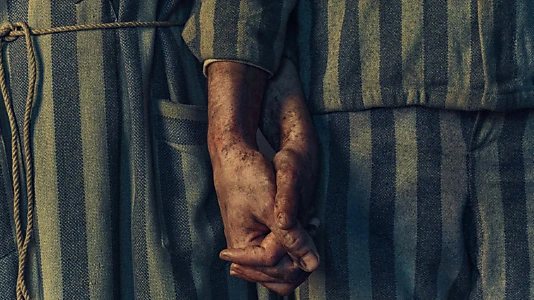 Watch The Tattooist of Auschwitz Trailer