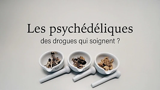 Les psychédéliques, des drogues qui soignent ?