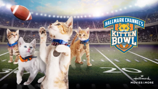 Kitten Bowl V