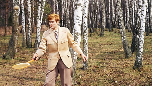 The Birch Wood