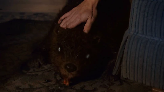 Zombeavers