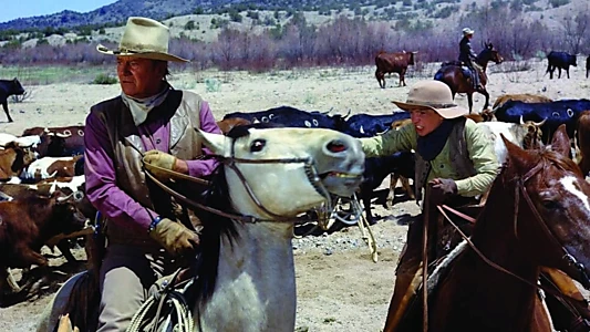 The Cowboys