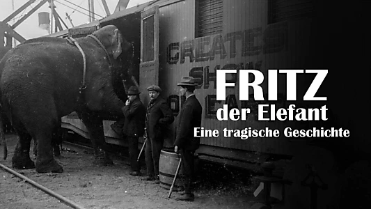 The Tragic Story of Fritz the Elephant