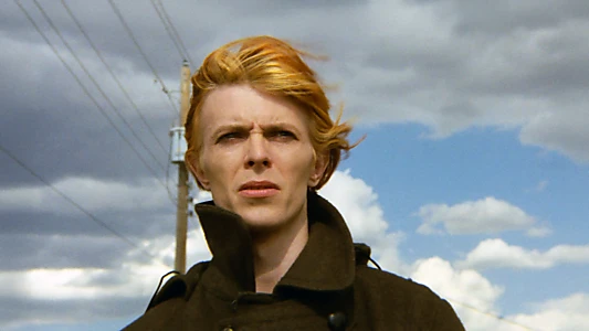 The Man Who Fell to Earth