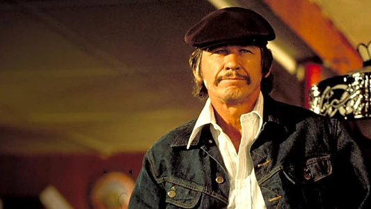 Mr. Majestyk