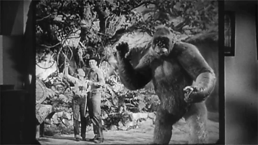 Mighty Joe Young