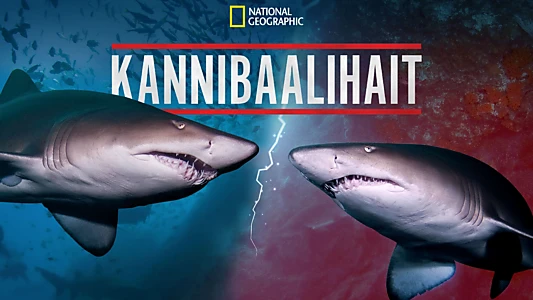 Cannibal Sharks