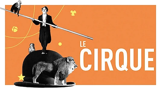 The Circus