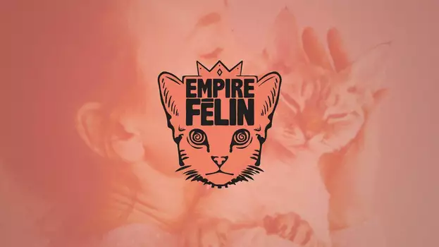 Cat Empire