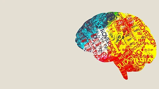 Persona: The Dark Truth Behind Personality Tests