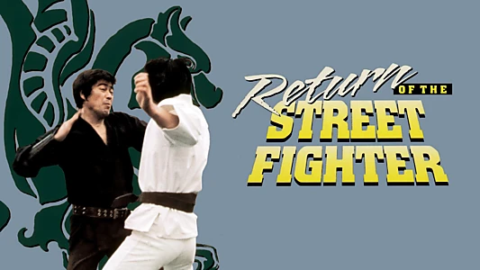 Return of the Street Fighter