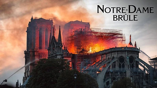 Notre-Dame on Fire