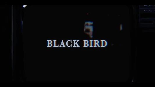 Black Bird