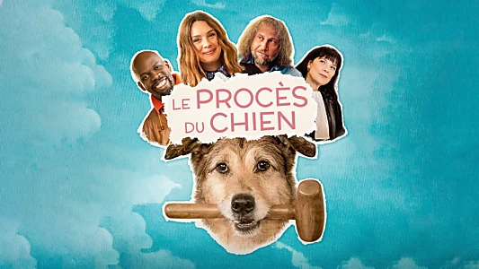 Dog on Trial