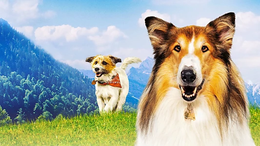 Lassie: A New Adventure