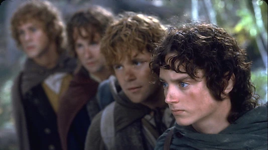 The Lord of the Rings: The Fellowship of the Ring