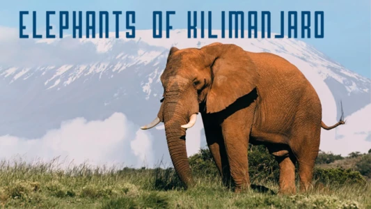 Elephants of Kilimanjaro