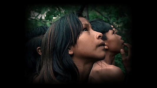 Watch The Buriti Flower Trailer