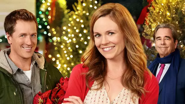 Watch Christmas in Angel Falls Trailer