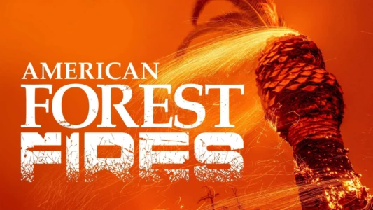 Watch American Forest Fires: The Untold Story Trailer