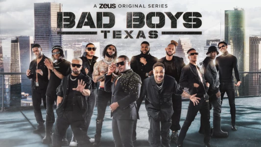 Watch Bad Boys Texas Trailer