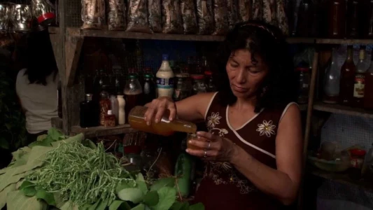 Watch Ayahuasca Diary Trailer