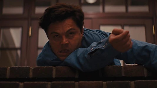 The Wolf of Wall Street