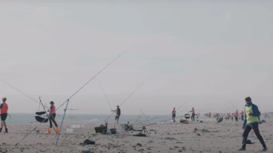 Watch Fishing in Tunisia Trailer