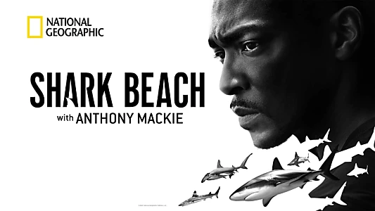 Watch Shark Beach with Anthony Mackie Trailer