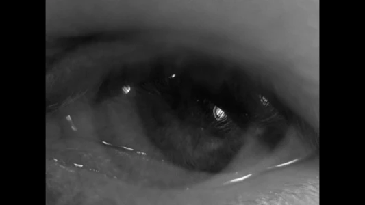 Watch Ingmar Bergman's eye Trailer