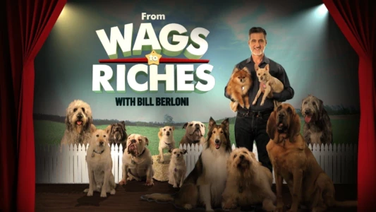 From Wags to Riches With Bill Berloni